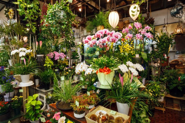 自由が丘駅でおすすめのお花屋さんまとめ おしゃれなフラワーギフトが豊富 Pathee パシー